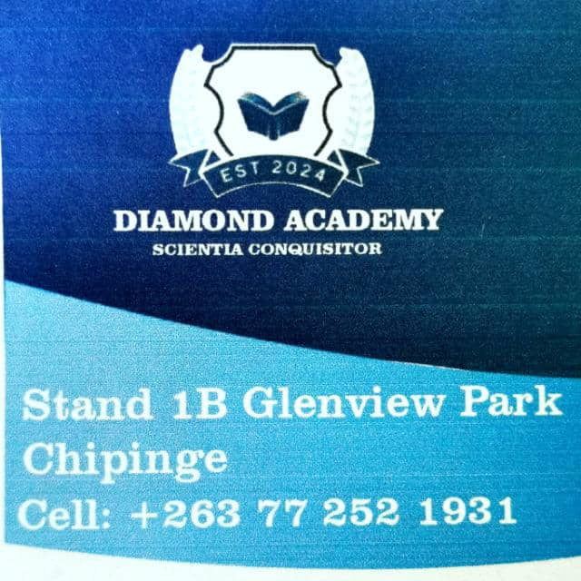 Diamond Academy crest